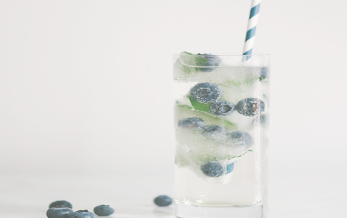 Blueberry Mint Fizz