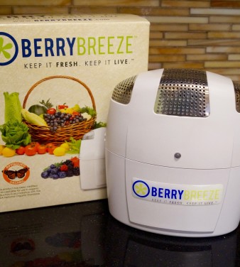 berryBreeze berryBreeze